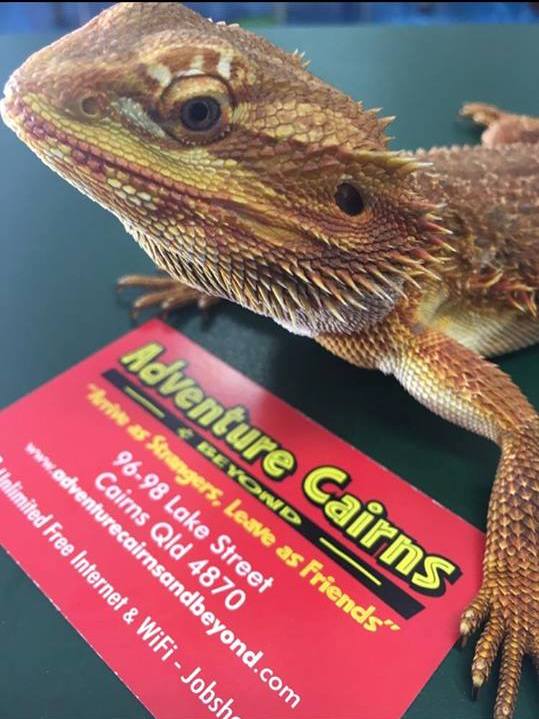 Adventure Cairns and Beyond
